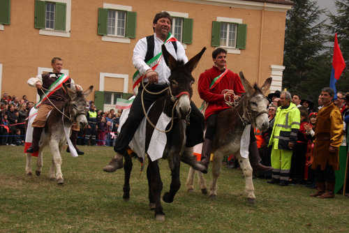 Gara Palio dei Somari Amatrice 2012 Gara Palio dei Somari Amatrice 2012